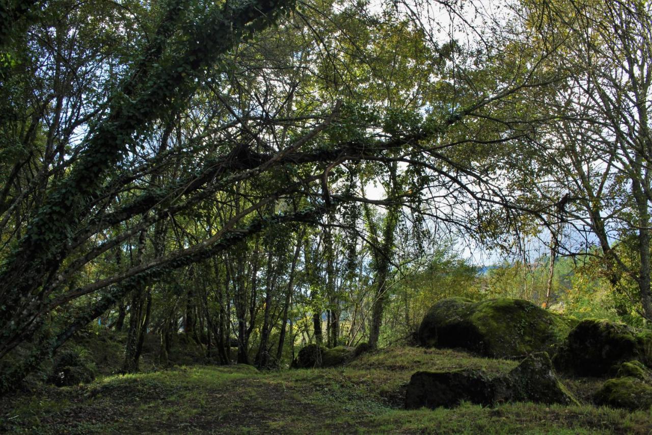 5ª D'Azenha - River And Nature アマランテ エクステリア 写真